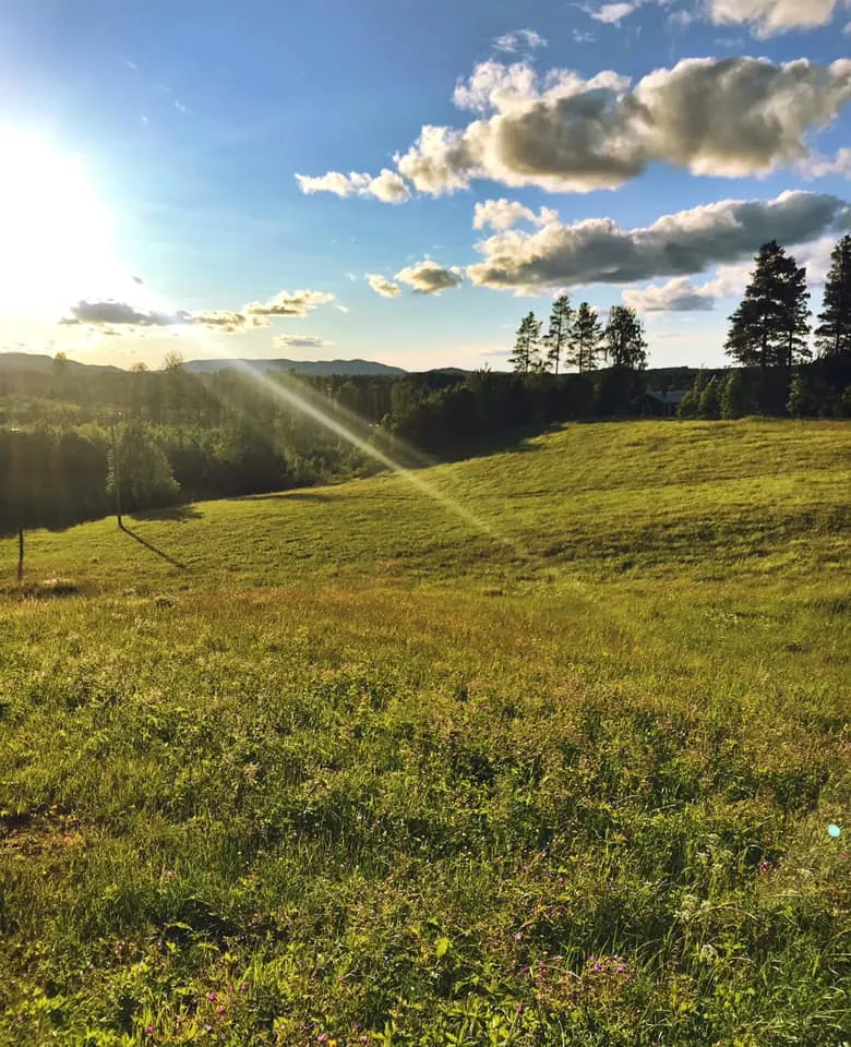 agnas-stugby-bjurholm-eavdk