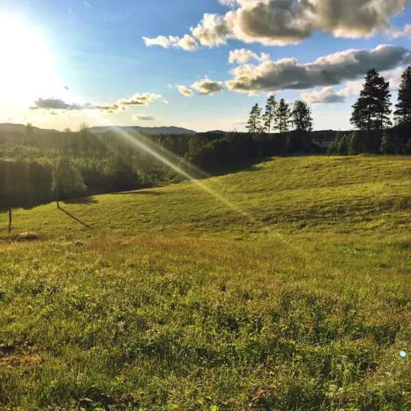 agnas-stugby-bjurholm-eavdk