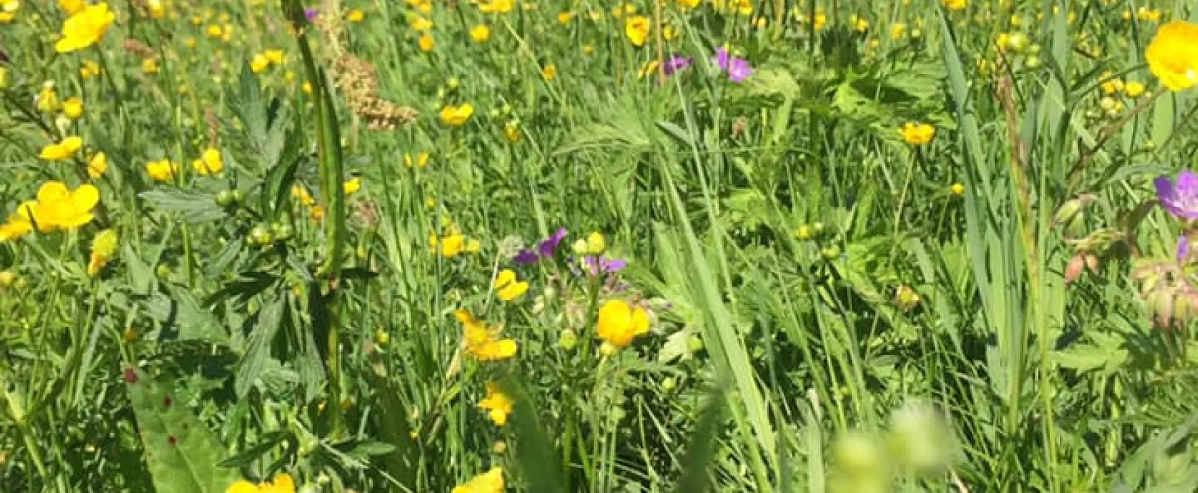 Agnäs Stugby