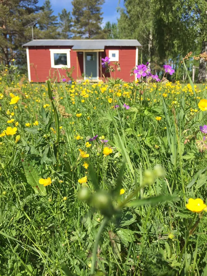agnas-stugby-bjurholm-saeje