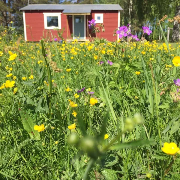 agnas-stugby-bjurholm-saeje