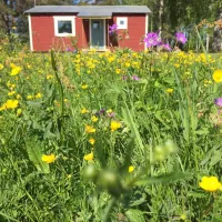 agnas-stugby-bjurholm-saeje