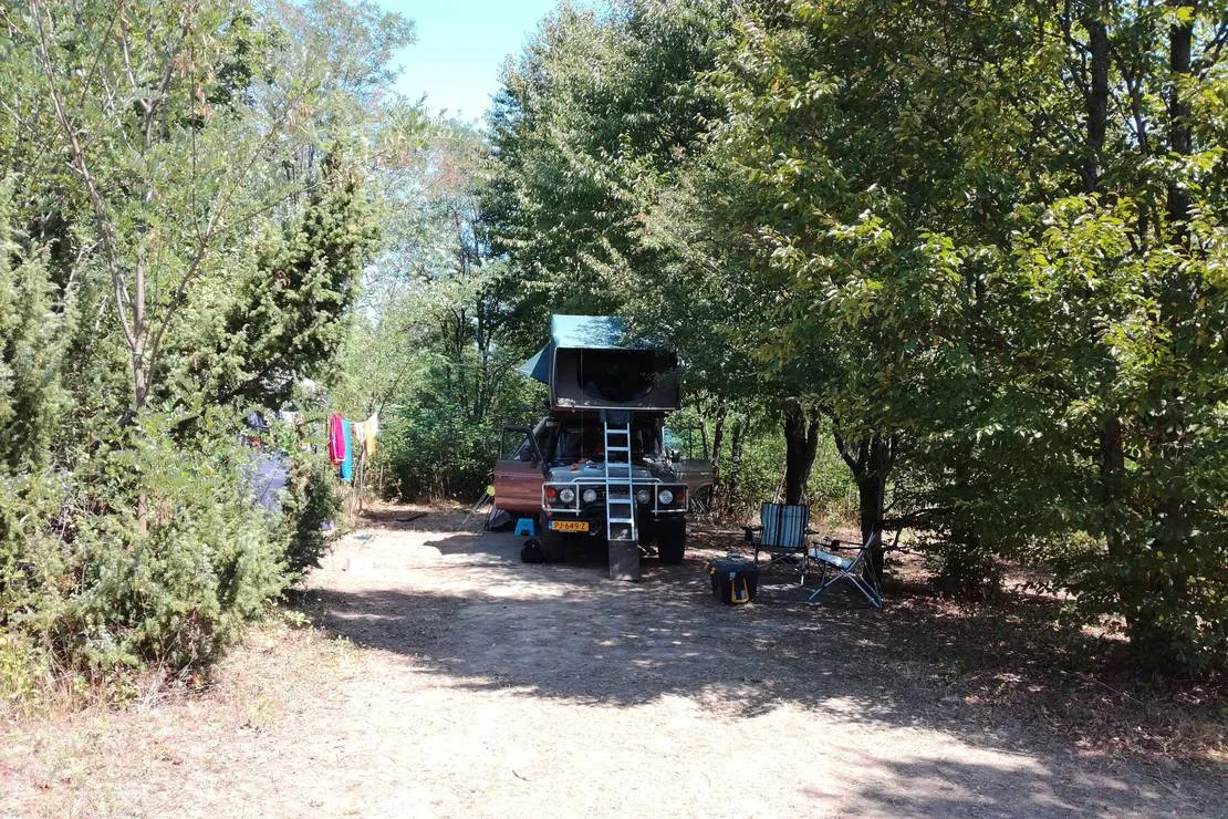 camping-bogata-suma-rich-forest-vojnic-1sds0