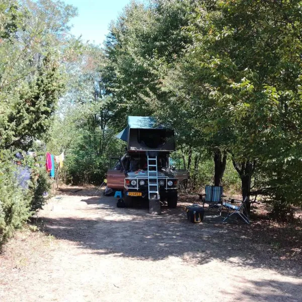 camping-bogata-suma-rich-forest-vojnic-1sds0
