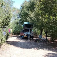 camping-bogata-suma-rich-forest-vojnic-1sds0