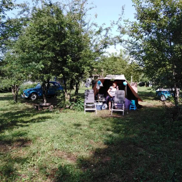 camping-bogata-suma-rich-forest-vojnic-8d8rt