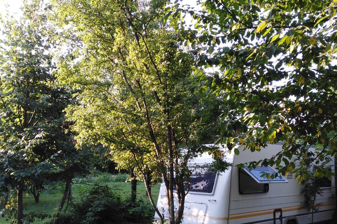 camping-bogata-suma-rich-forest-vojnic-anus3