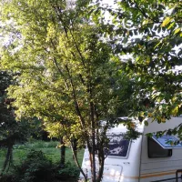 camping-bogata-suma-rich-forest-vojnic-anus3