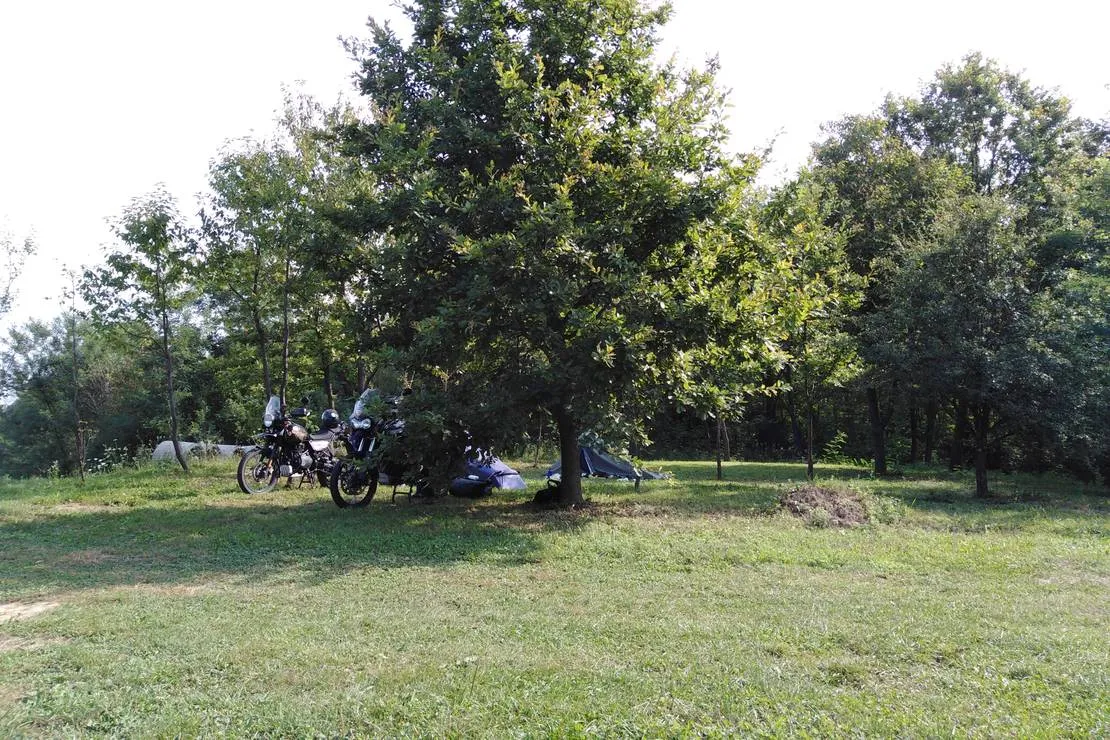 camping-bogata-suma-rich-forest-vojnic-c66te