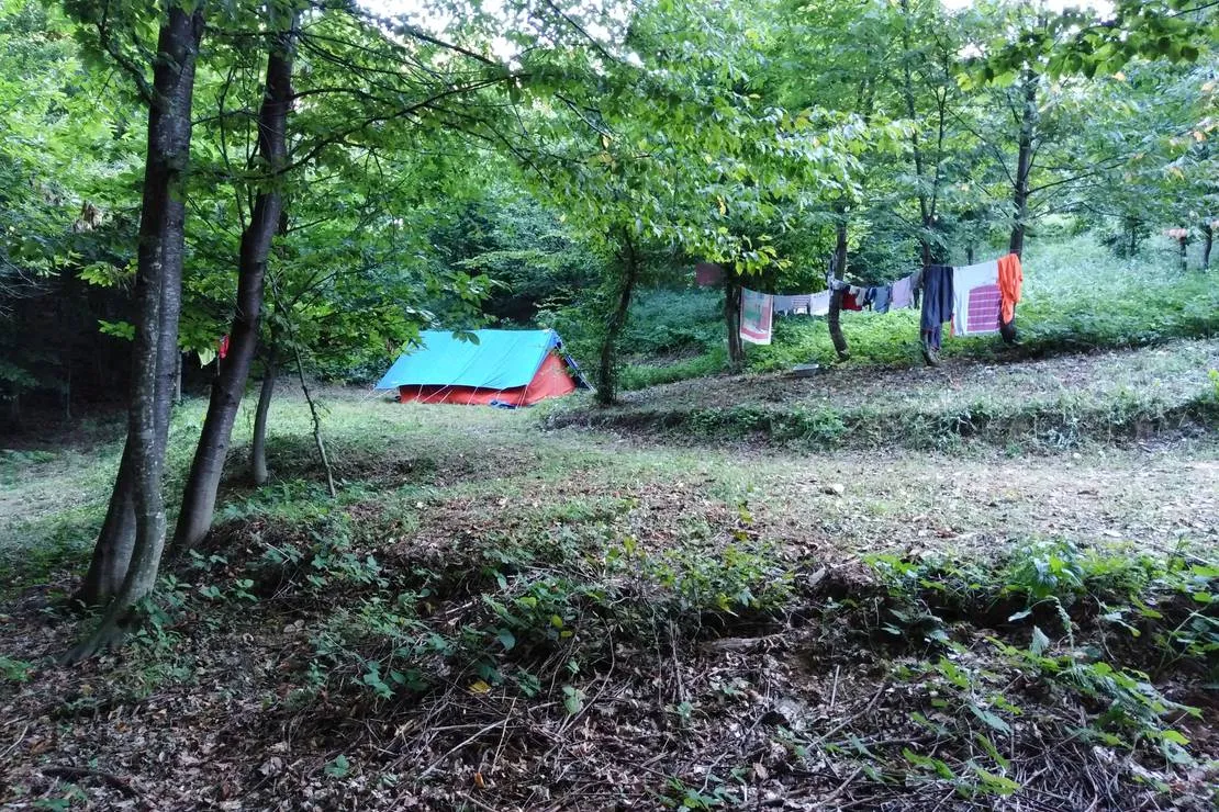 camping-bogata-suma-rich-forest-vojnic-cqlon
