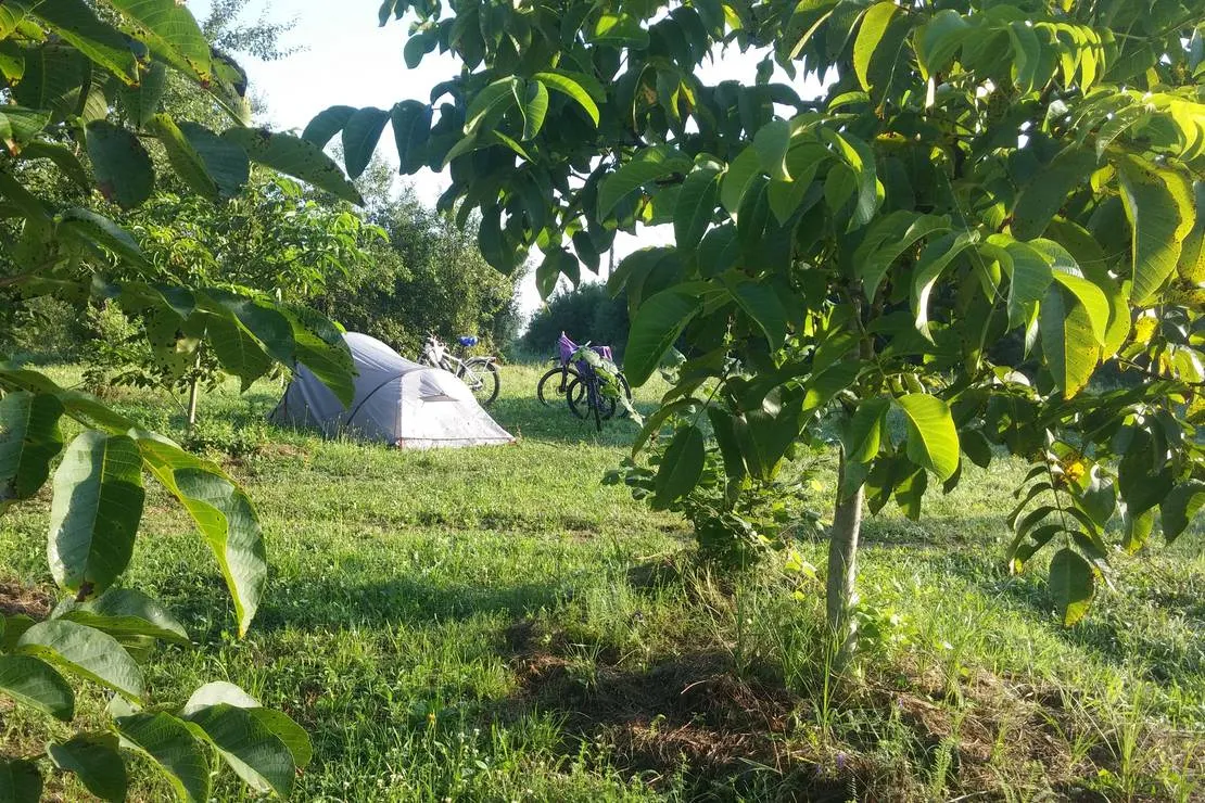 camping-bogata-suma-rich-forest-vojnic-ev5nl