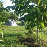 camping-bogata-suma-rich-forest-vojnic-ev5nl