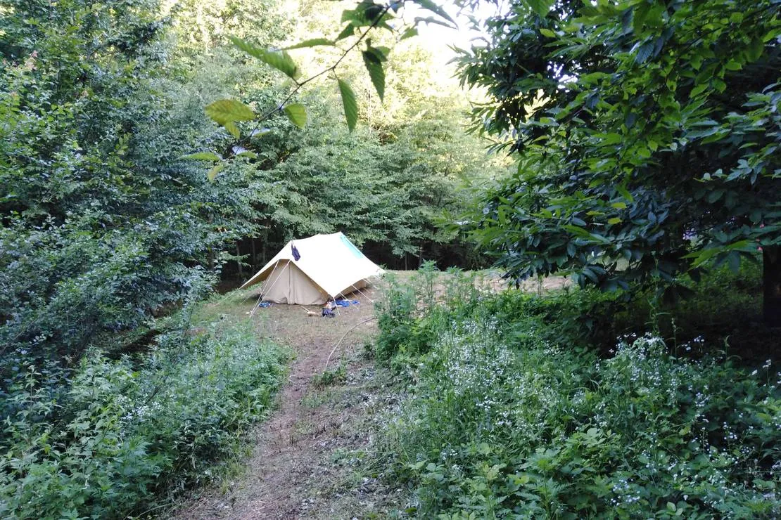 camping-bogata-suma-rich-forest-vojnic-ibgij