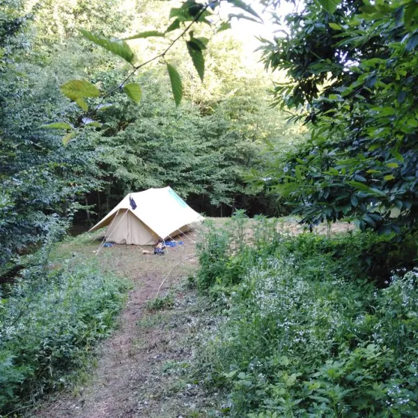 camping-bogata-suma-rich-forest-vojnic-ibgij