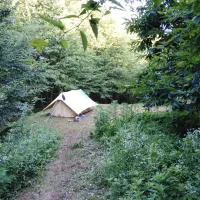 camping-bogata-suma-rich-forest-vojnic-ibgij