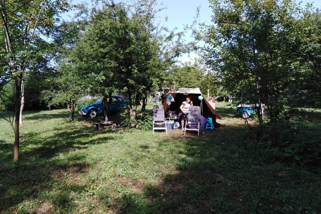 camping-bogata-suma-rich-forest-vojnic-ipifo