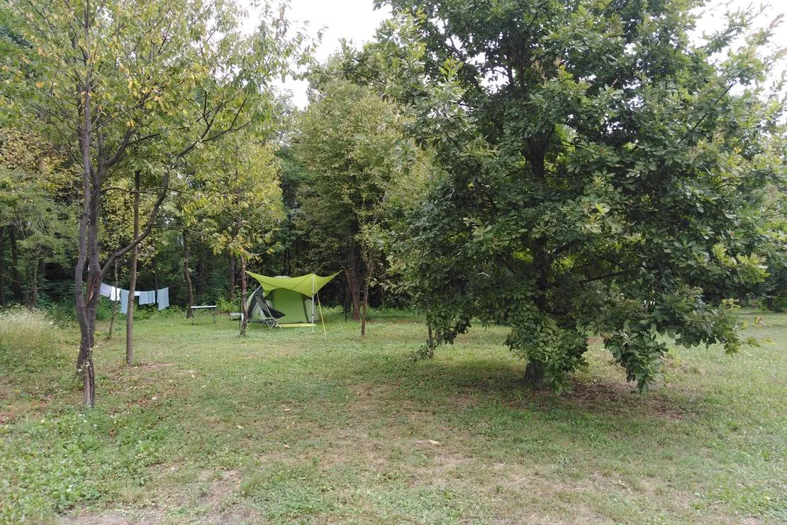 camping-bogata-suma-rich-forest-vojnic-jbqx1