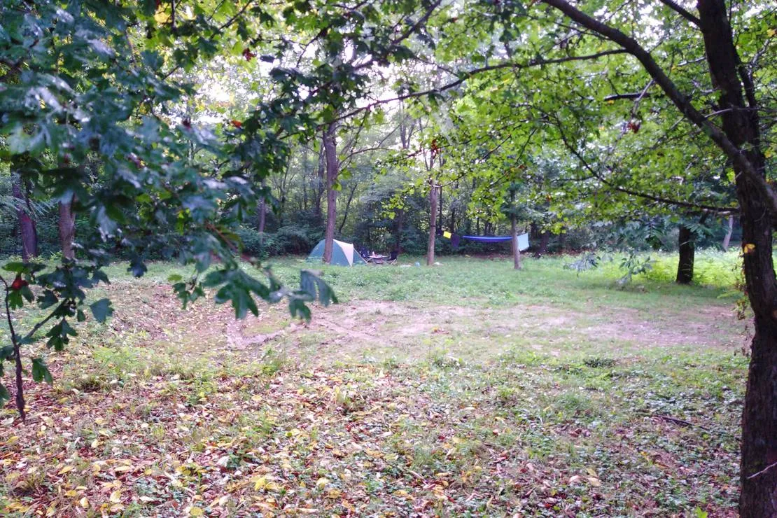 camping-bogata-suma-rich-forest-vojnic-mv7zp