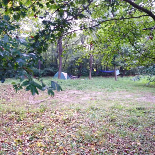 camping-bogata-suma-rich-forest-vojnic-mv7zp