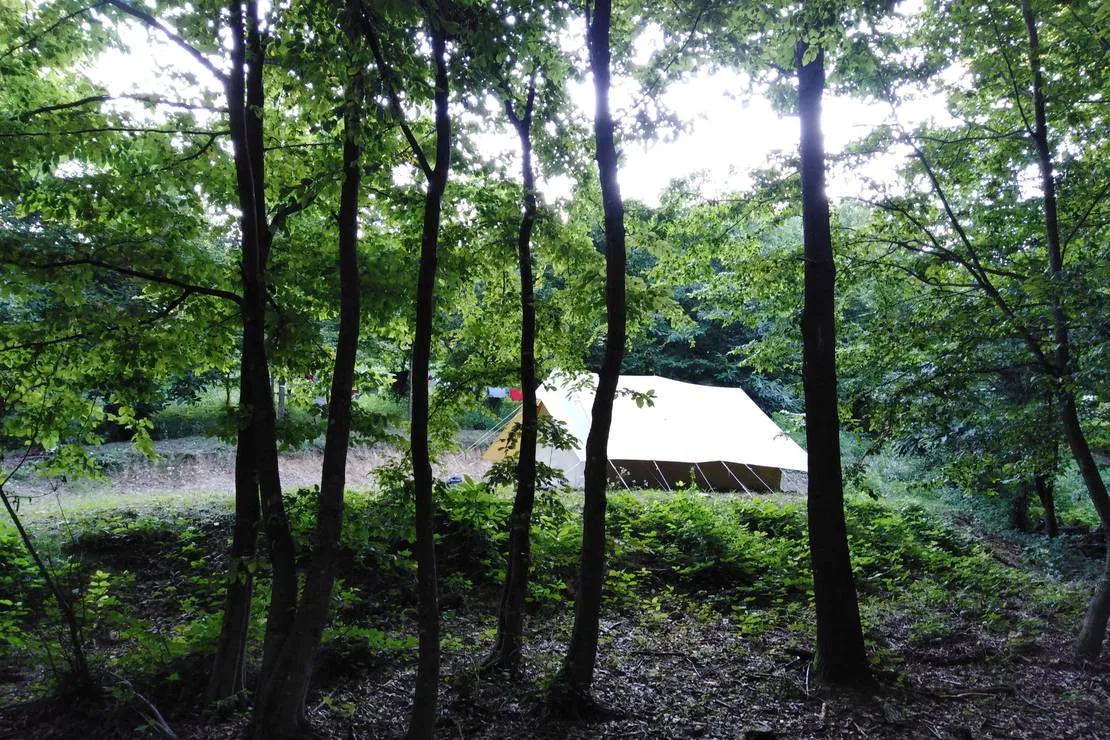 camping-bogata-suma-rich-forest-vojnic-pezjl