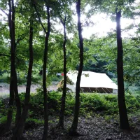 camping-bogata-suma-rich-forest-vojnic-pezjl