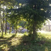 camping-bogata-suma-rich-forest-vojnic-pjhxw