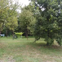 camping-bogata-suma-rich-forest-vojnic-qf6xq
