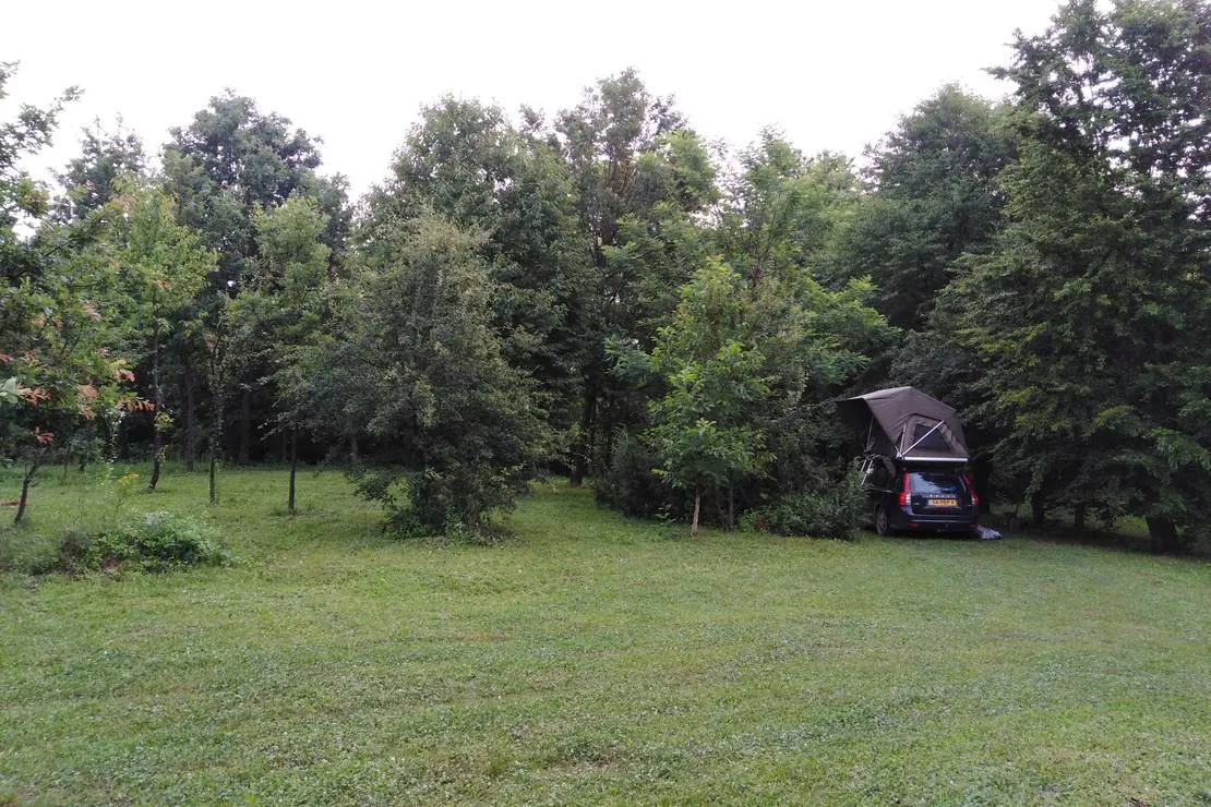 camping-bogata-suma-rich-forest-vojnic-qhxua