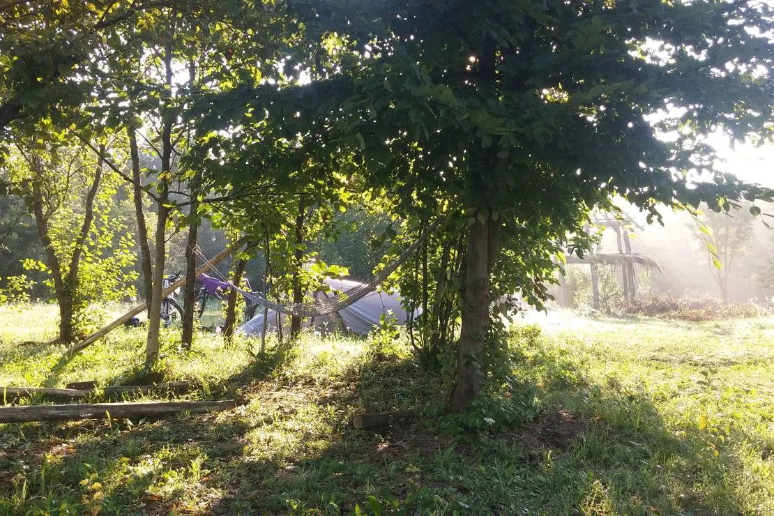 camping-bogata-suma-rich-forest-vojnic-rngav