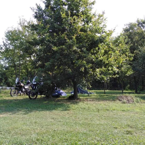 camping-bogata-suma-rich-forest-vojnic-v5fxt