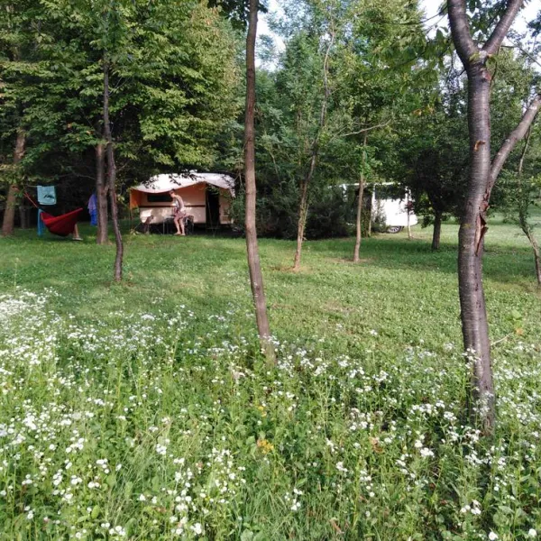 camping-bogata-suma-rich-forest-vojnic-y8nx7