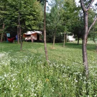camping-bogata-suma-rich-forest-vojnic-y8nx7