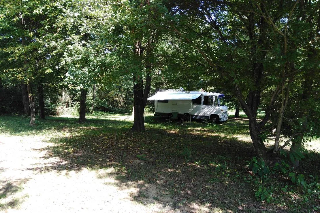camping-bogata-suma-rich-forest-vojnic-z3yxf