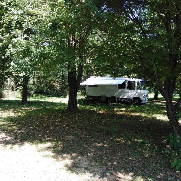 camping-bogata-suma-rich-forest-vojnic-z3yxf