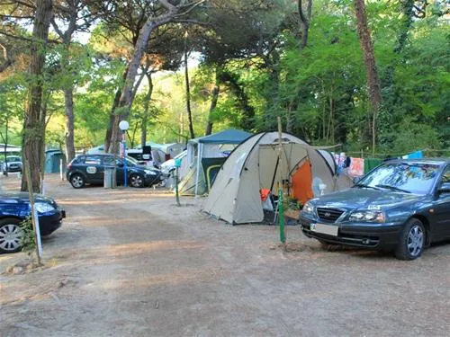 international-piomboni-ravenna-lozdp
