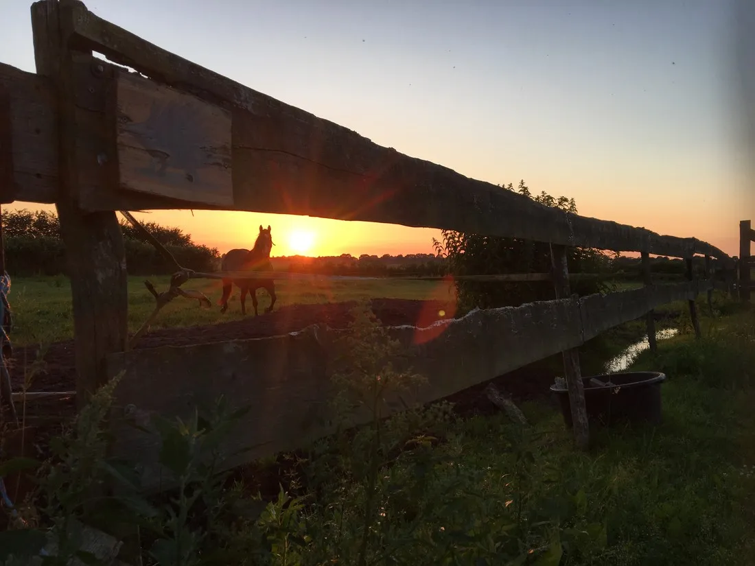 landgoed-ottermeerhoeve-wouwse-plantage-a2udv