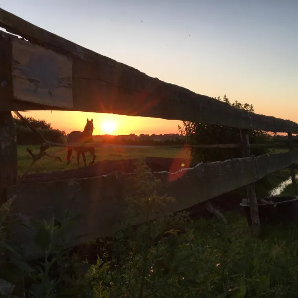 landgoed-ottermeerhoeve-wouwse-plantage-a2udv