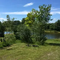 landgoed-ottermeerhoeve-wouwse-plantage-yvw2p