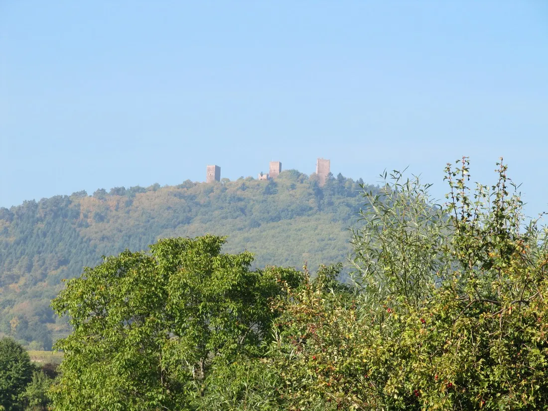 municipal-des-trois-chateaux-eguisheim-haut-rhin-quc44