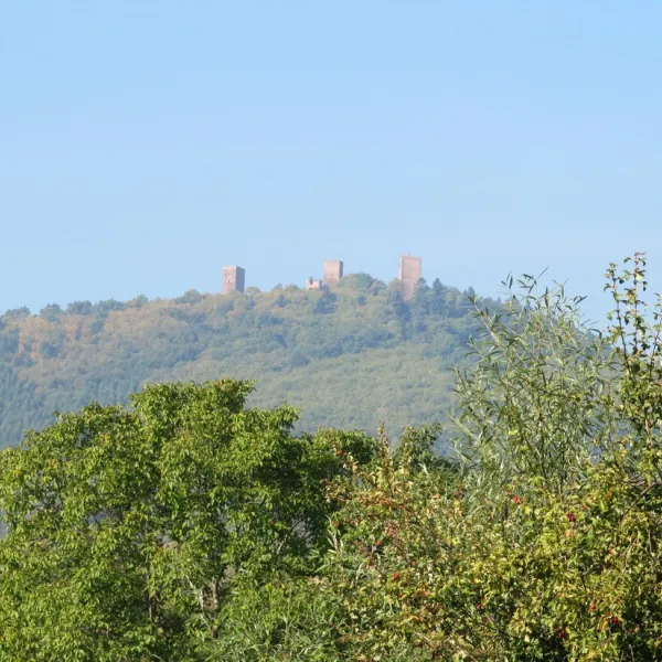 municipal-des-trois-chateaux-eguisheim-haut-rhin-quc44