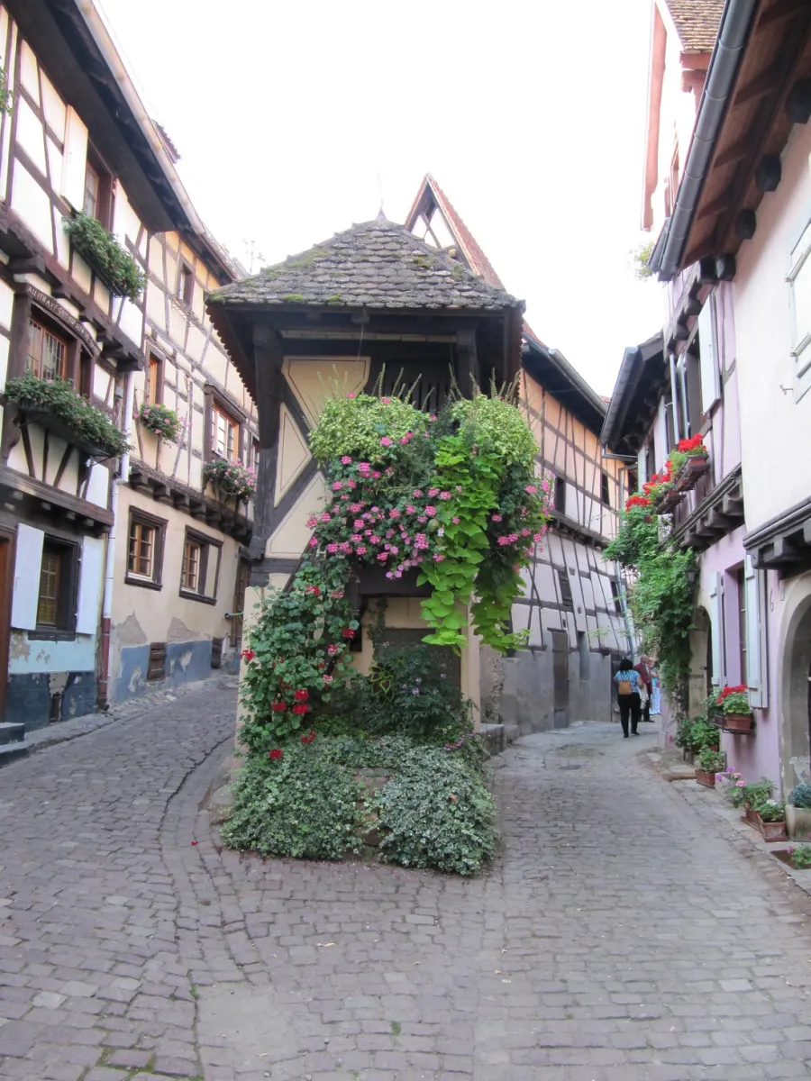 municipal-des-trois-chateaux-eguisheim-haut-rhin-s242e
