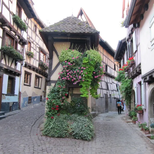 municipal-des-trois-chateaux-eguisheim-haut-rhin-s242e