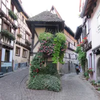 municipal-des-trois-chateaux-eguisheim-haut-rhin-s242e