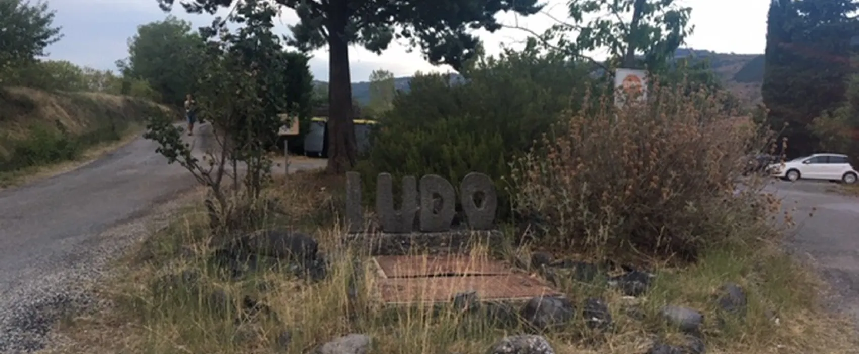 Ludo