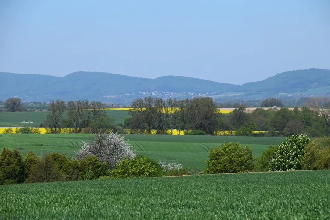 am-waldbad-halvestorf-ismym