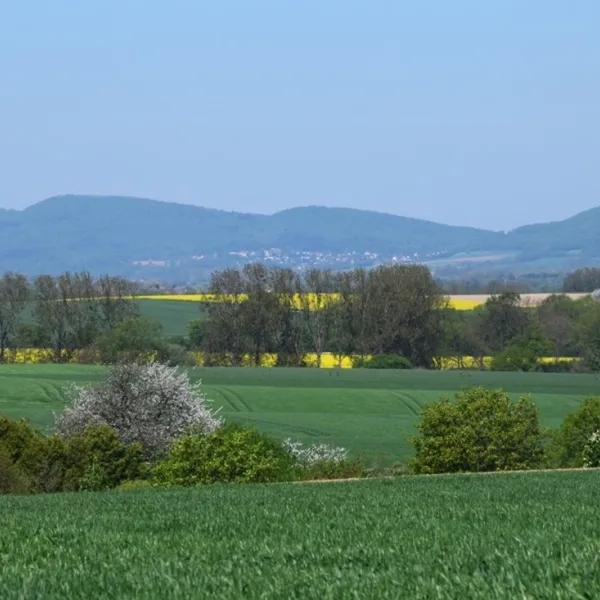 am-waldbad-halvestorf-ismym