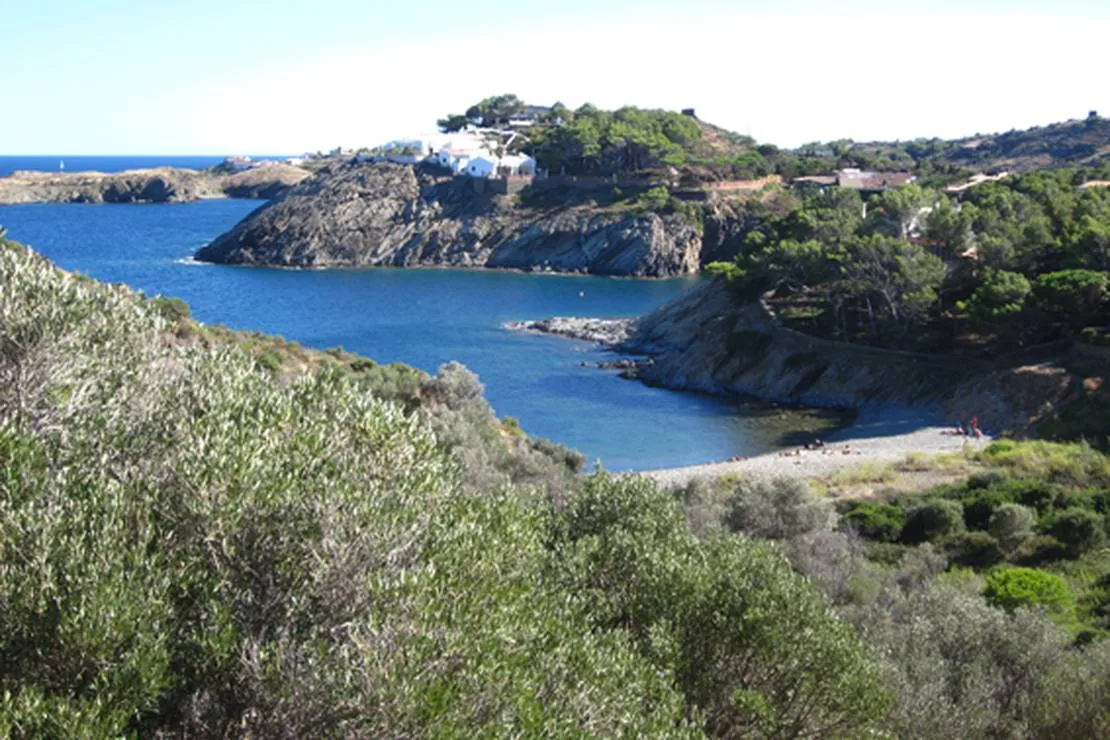 camping-cadaques-cadaques-65bbp