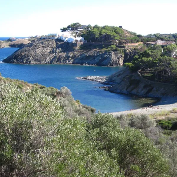 camping-cadaques-cadaques-65bbp
