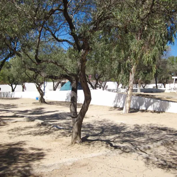 camping-cadaques-cadaques-kdtzw