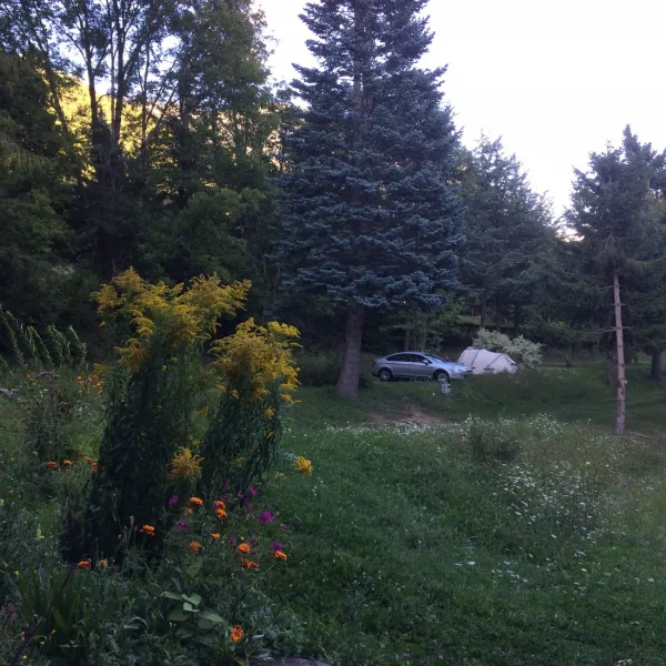 camping-la-villette-st-firmin-en-valgaudemar-qqrnv